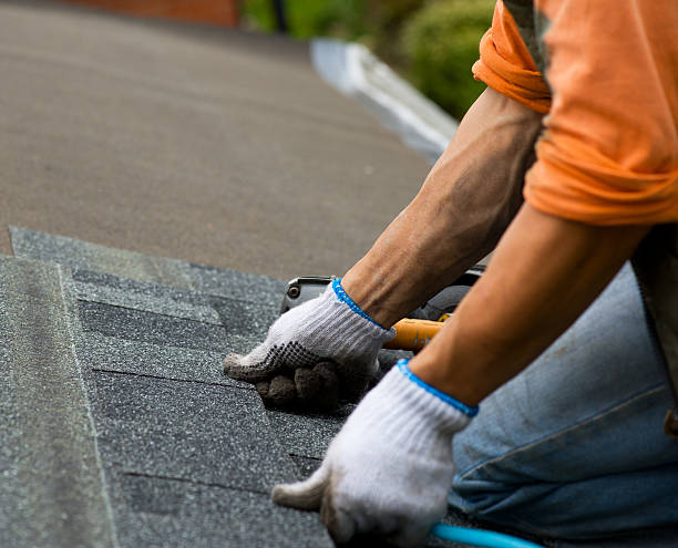 Best Gutter Installation and Roofing  in Raubsville, PA